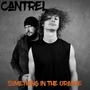 Something in The Orange (EP)