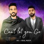 Can't Let You Go (feat. Akal Inder)