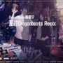 无涯Dragonbeats Remix
