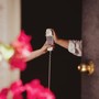 The Call