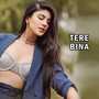 TERE BINA