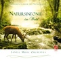 Symphony of Nature in the Forest (Natursinfonie im Wald) [Stimulating Feel-Good Music and Sounds of Nature]