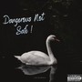 Dangerous Not Safe ! (Explicit)