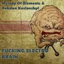 F**** Electro Brain