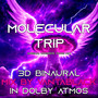 Molecular Trip (Original Immersive Atmos Mix)