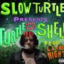 Turtle Out The Shell (Explicit)