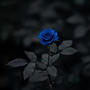 die to see u (Explicit)