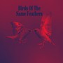 Birds Of The Same Feathers