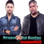 Charminho (Ao Vivo)