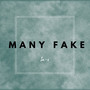 Many Fake