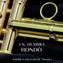 Trumpet Concerto in E-Flat Major, S. 49 III.Rondò: Allegro Molto