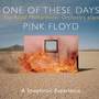 The Royal Philharmonic Orchestra Plays Pink Floyd/One Of These Days