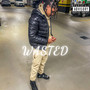 Wasted (Explicit)