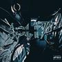 SPLIIT (feat. Kayreed) [Explicit]