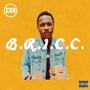 B.R.I.C.C. (Explicit)