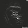 Gorilla (feat. M.C.S, Swami & Millzy) [Explicit]