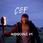 AIDQCDLC#1 (Explicit)
