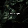 Foret Night