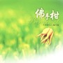 佛手柑 (芳香疗法心灵音乐)