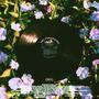 In Too Deep (feat. Yxng Malone) [Explicit]
