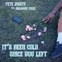 It's Been Cold Since You Left (feat. benjamin adriel) [Explicit]