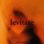 Levitate