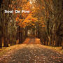 Soul On Fire