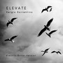Elevate (Electric Guitar Version)