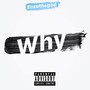 Why (Explicit)