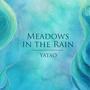 Meadows in the Rain (feat. Kosma Music & Bummela)
