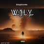 WHY (Explicit)