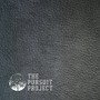 The Pursuit Project