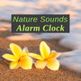 Nature Sounds Alarm Clock - 2 Hours of Nature Sounds Alarm Clock to Wake Up Gently