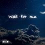 Wait For Me (feat. Alvan Al Rakib)