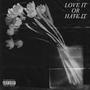 Love it Or Hate it (Explicit)