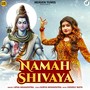 Namah Shivaya