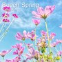 Beech Spring (Instrumental Version)