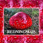 Redningsløs