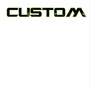 Custom (Explicit)