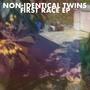 Non-Identical Twins First Race EP