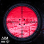 Aim (Explicit)