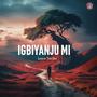 Igbiyanju Mi