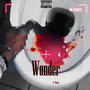 Wonder (Explicit)