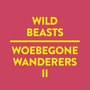 Woebegone Wanderers II