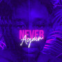 Never Again (Explicit)