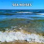 ** Sea Noises for Relaxation, Sleep, Reading, Tinnitus Relief