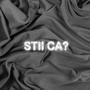 STII CA (feat. robikashto)