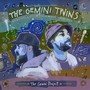 The Gemini Project (Explicit)