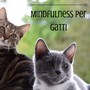 Mindfulness per Gatti - Musicoterapia Felina e Animale