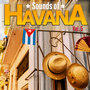 Sounds of Havana, Vol. 19